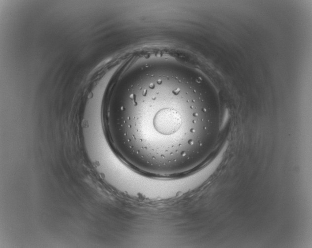 X0000083000824200702011452