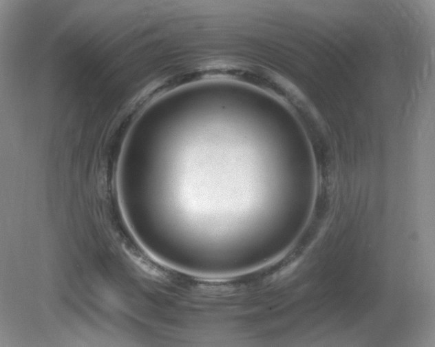X0000083000825200702011452