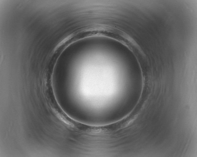 X0000083000826200702011452