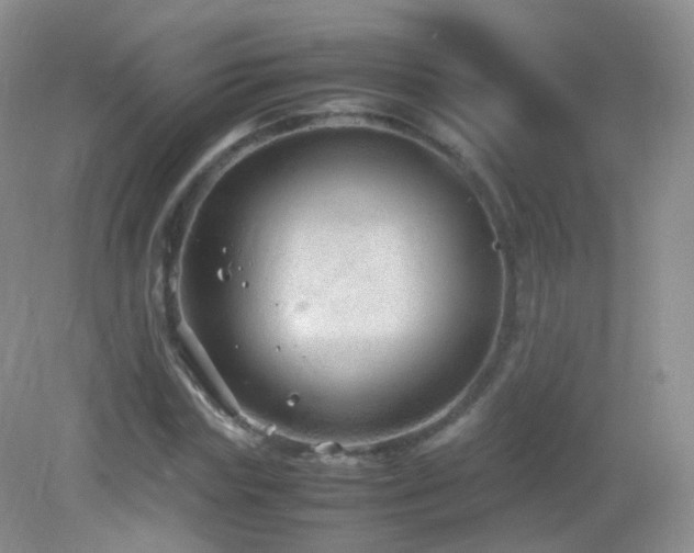 X0000083000827200702011452