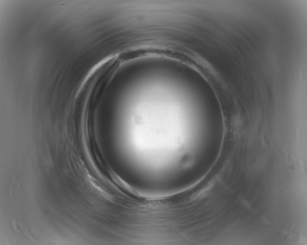 X0000083000830200702011452