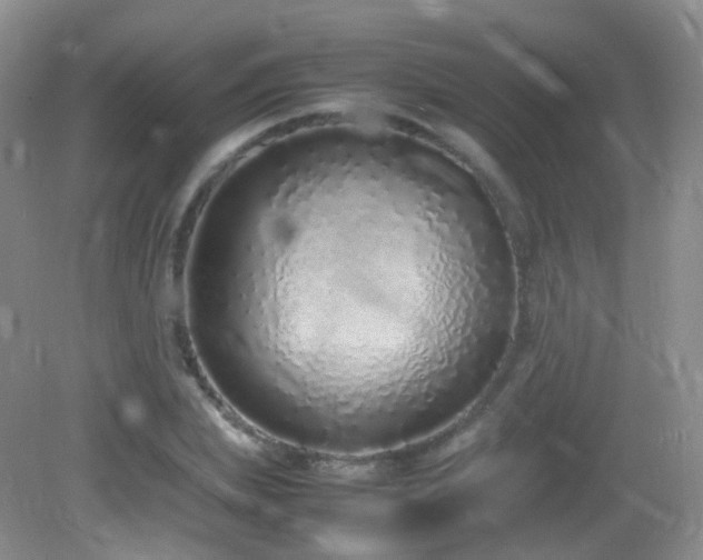 X0000083000831200702011452