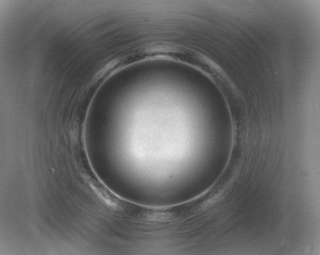 X0000083000833200702011452