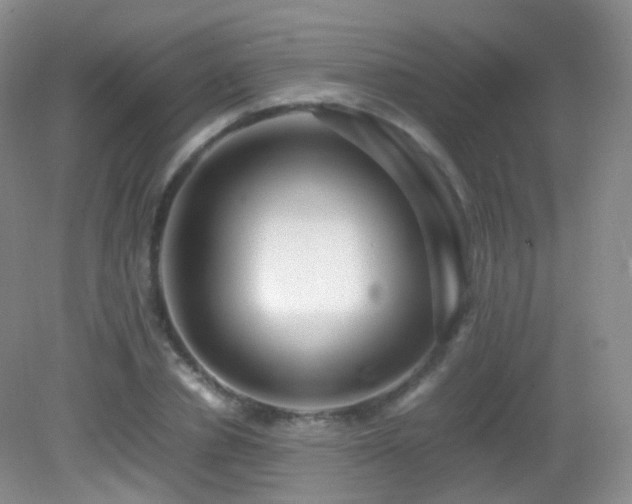 X0000083000834200702011452
