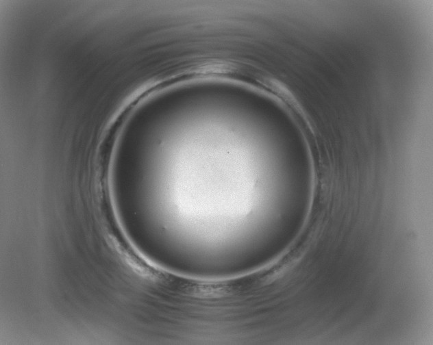 X0000083000835200702011452