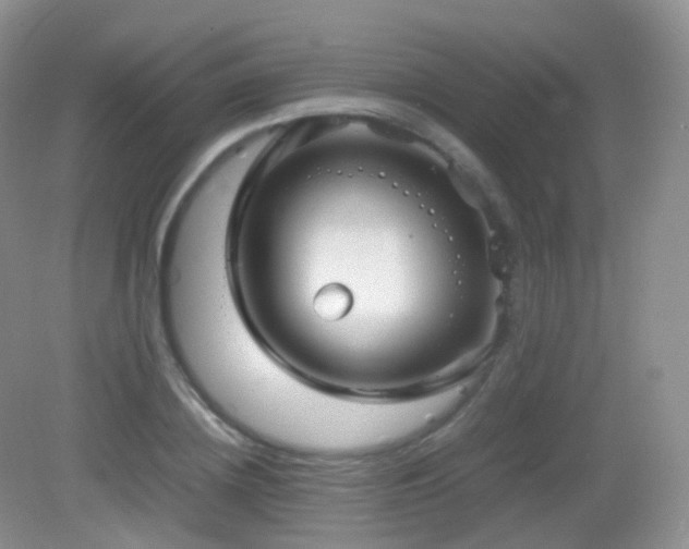X0000083000836200702011452