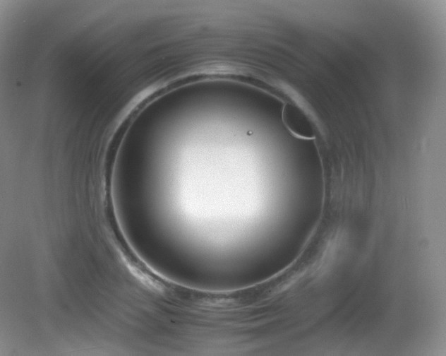 X0000083000837200702011452