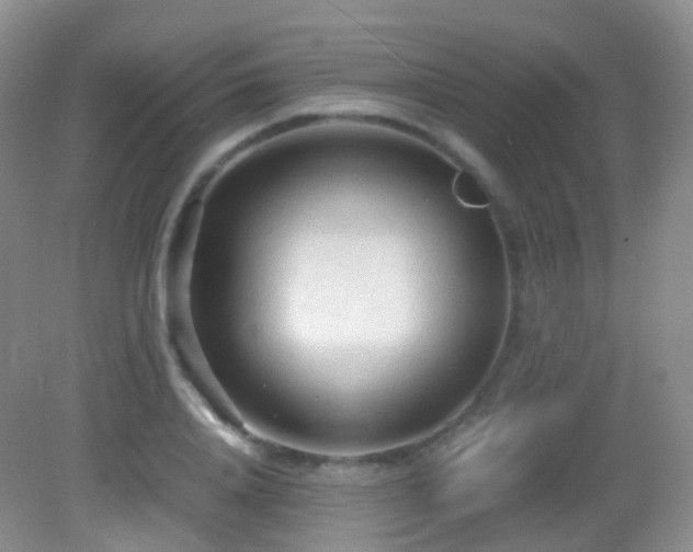 X0000083000840200702011453