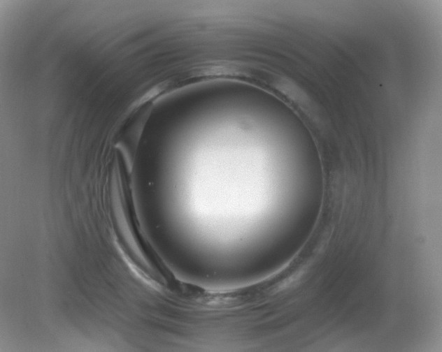 X0000083000841200702011453