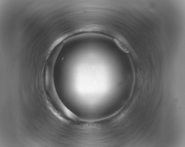 X0000083000842200702011453