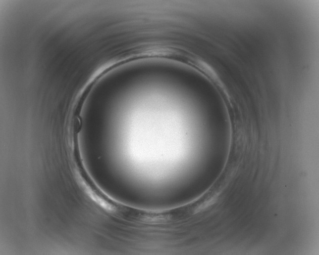 X0000083000843200702011453