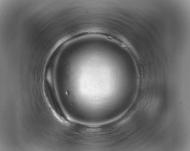 X0000083000845200702011453