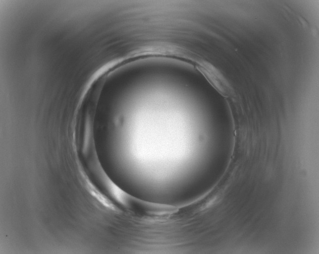 X0000083000846200702011453