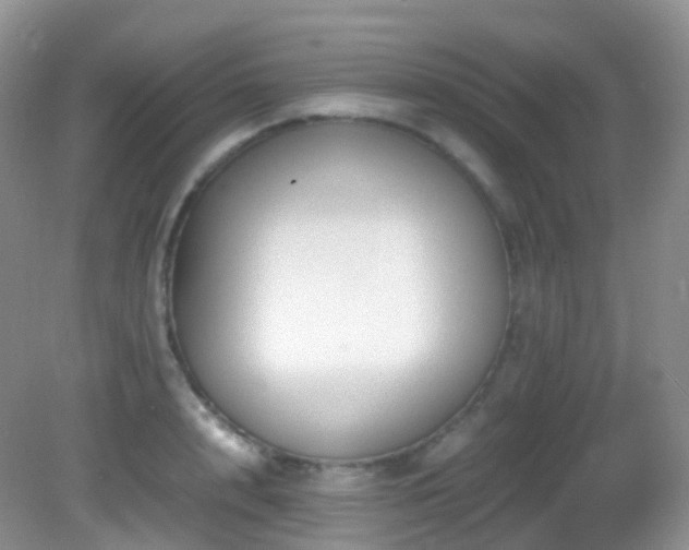 X0000083000848200702011453