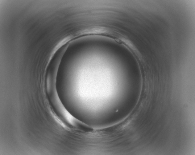 X0000083000850200702011453