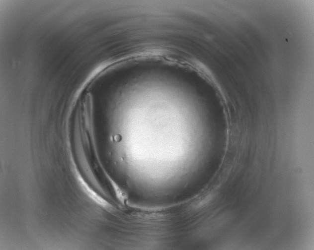 X0000083000851200702011453
