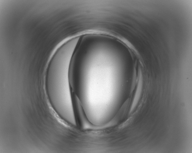 X0000083000854200702011453