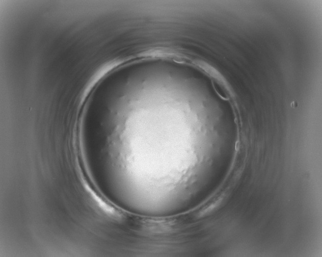 X0000083000855200702011453