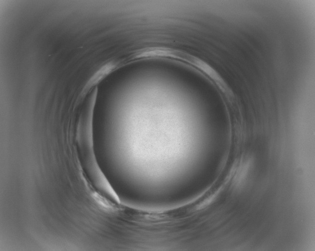 X0000083000857200702011453