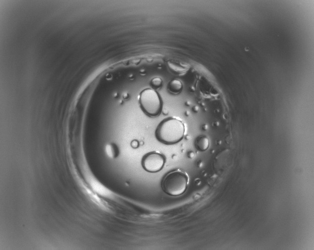 X0000083000859200702011453