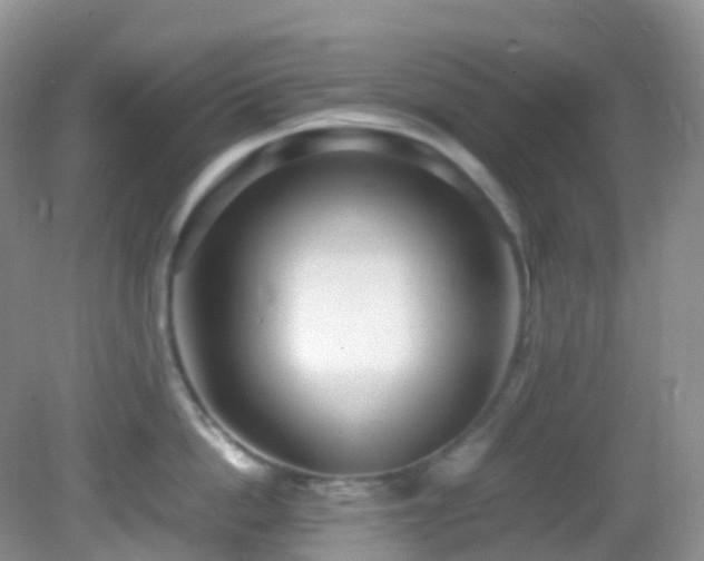 X0000083000862200702011453