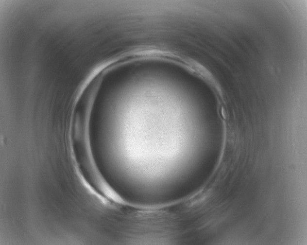 X0000083000863200702011453