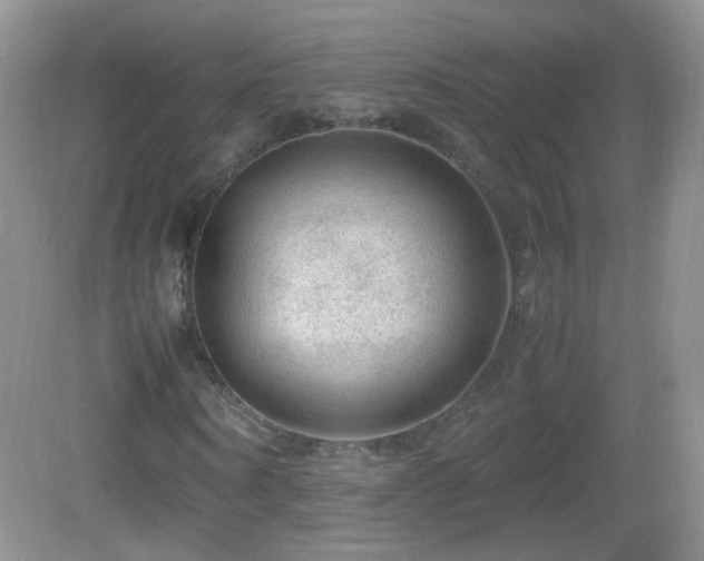 X0000083000866200702011452
