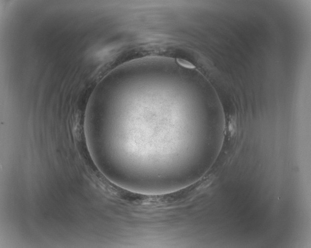 X0000083000867200702011452