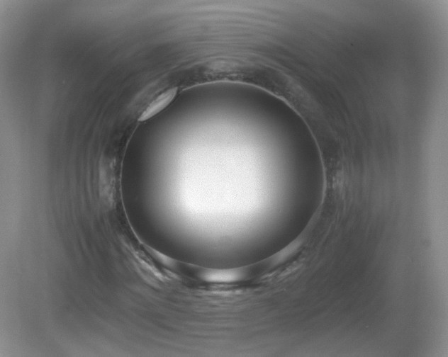 X0000083000868200702011452