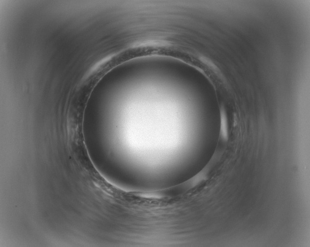 X0000083000872200702011452