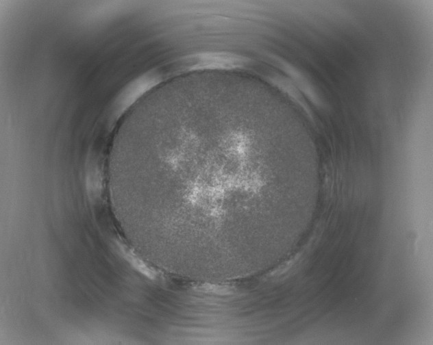 X0000083000874200702011452