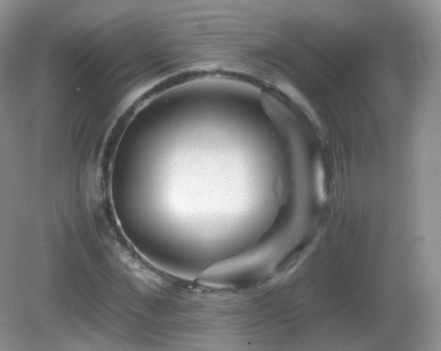 X0000083000876200702011452