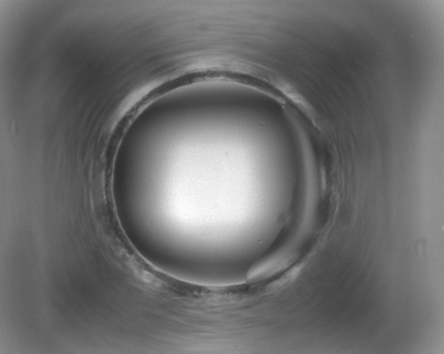 X0000083000877200702011452