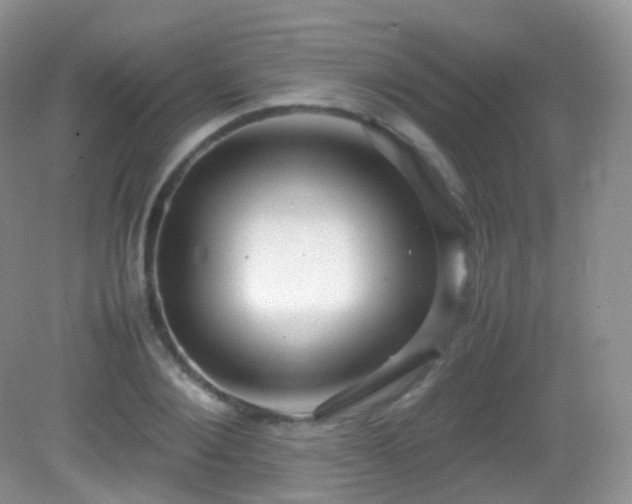 X0000083000884200702011452