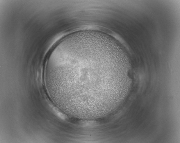 X0000083000886200702011452