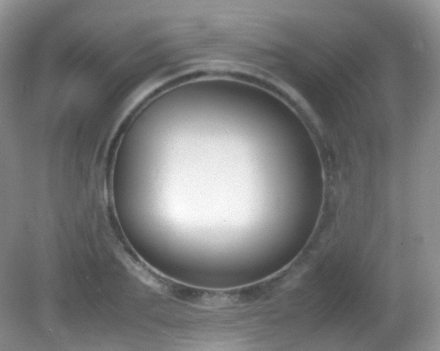 X0000083000887200702011452