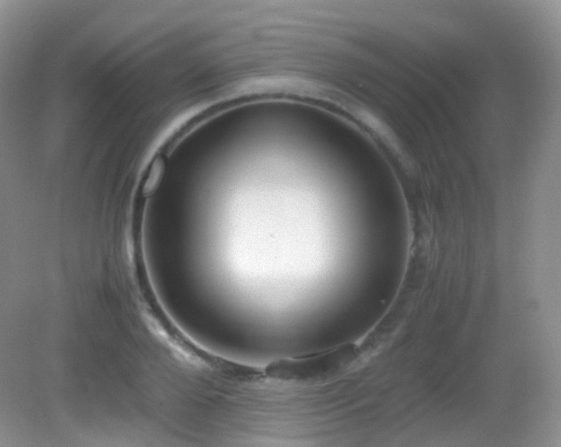 X0000083000888200702011452