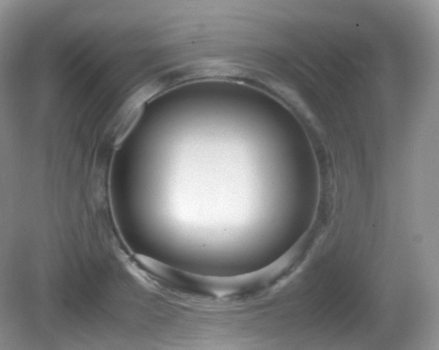 X0000083000889200702011452
