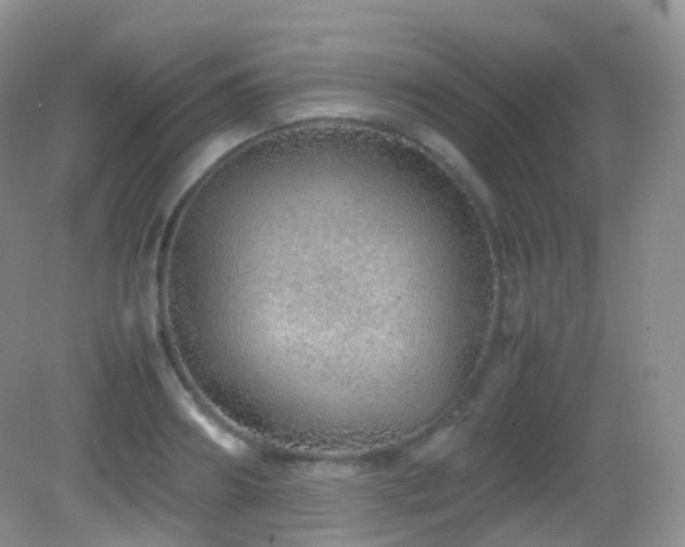 X0000083000890200702011452