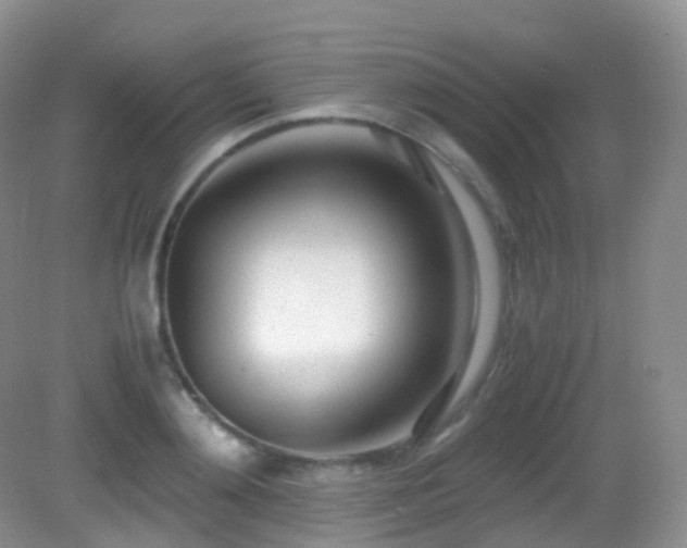 X0000083000892200702011452