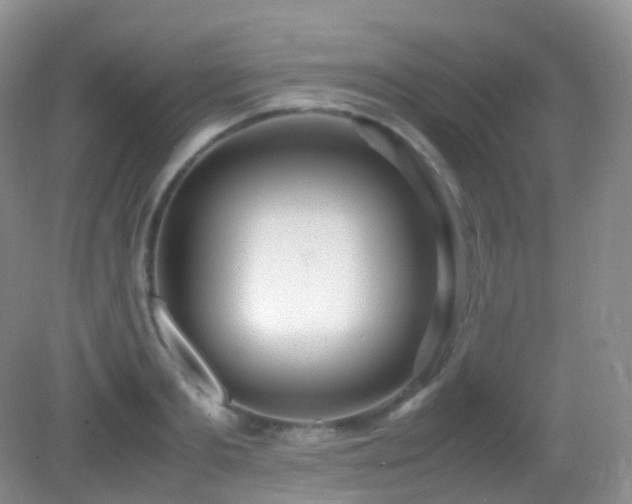 X0000083000893200702011452