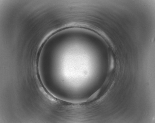 X0000083000896200702011452