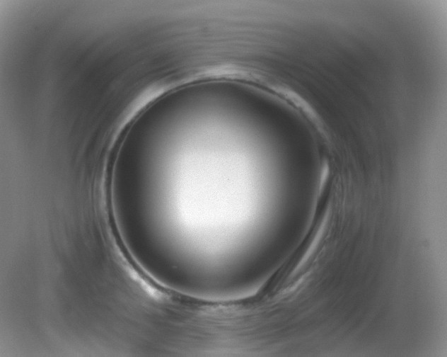 X0000083000902200702011452