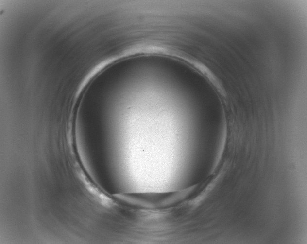 X0000083000904200702011451