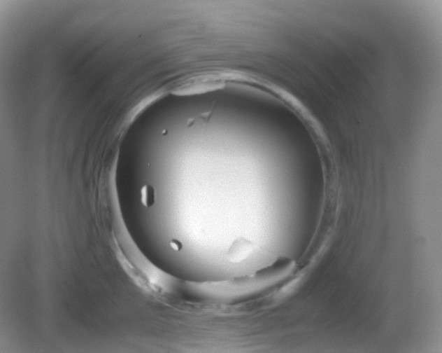X0000083000905200702011451