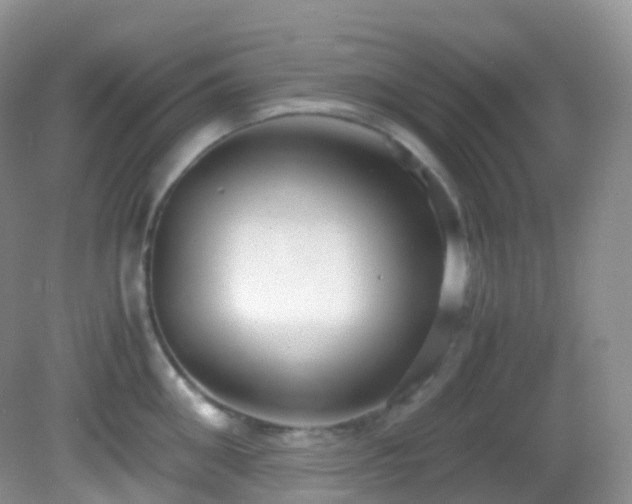 X0000083000906200702011451