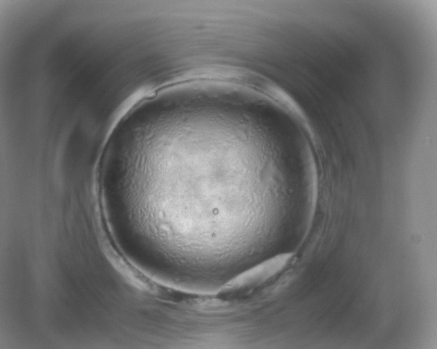 X0000083000907200702011451