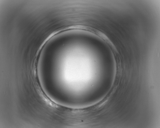 X0000083000908200702011451