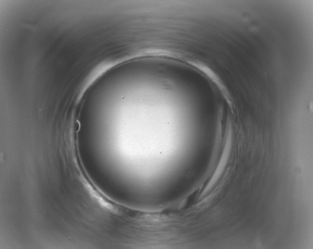 X0000083000910200702011451