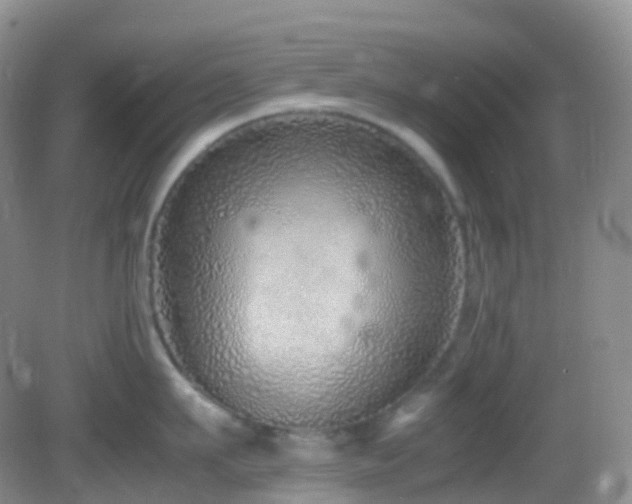 X0000083000911200702011451